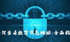 如何查看数字钱包地址：全面指南
