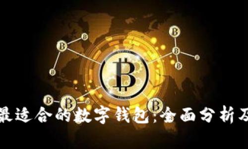 选择最适合的数字钱包：全面分析及推荐