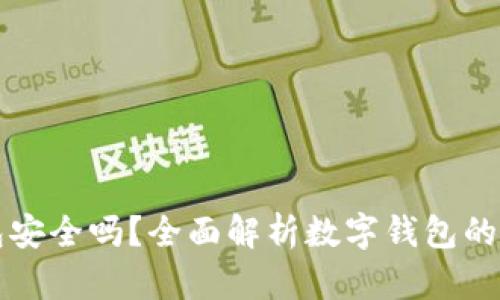 陀螺科技数字钱包安全吗?全面解析数字钱包的安全性与使用指南