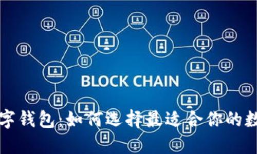 十大最安全的数字钱包:如何选择最适合你的数字资产保护工具