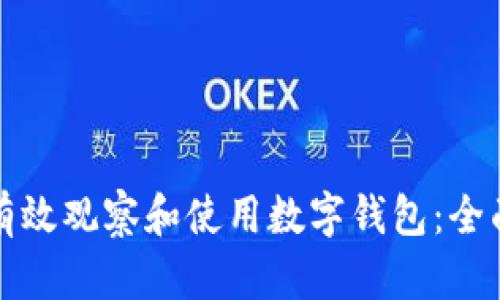如何有效观察和使用数字钱包:全面指南