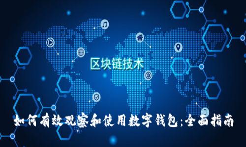 如何有效观察和使用数字钱包:全面指南