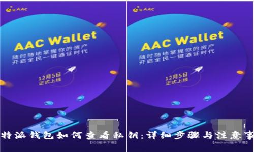 比特派钱包如何查看私钥:详细步骤与注意事项