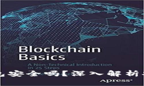 示例美金数字钱包安全吗?深入解析安全性与使用技巧