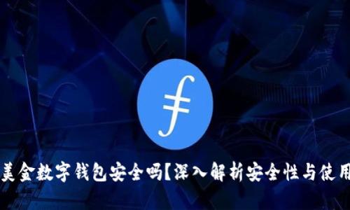 示例美金数字钱包安全吗?深入解析安全性与使用技巧