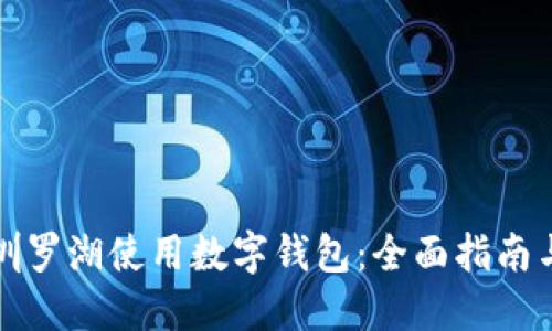 如何在深圳罗湖使用数字钱包:全面指南与使用技巧