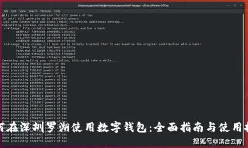 如何在深圳罗湖使用数字钱包:全面指南与使用技巧