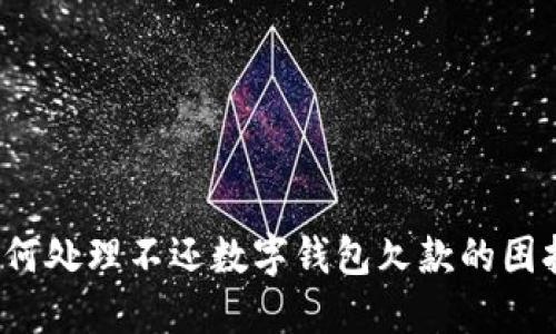 如何处理不还数字钱包欠款的困扰?