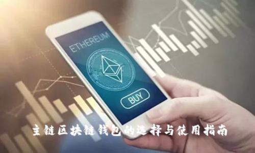 主链区块链钱包的选择与使用指南
