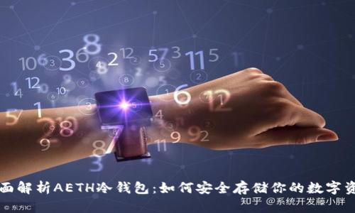 全面解析AETH冷钱包:如何安全存储你的数字资产