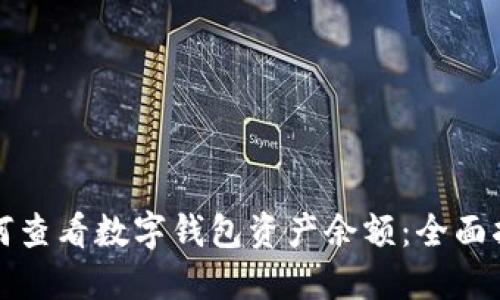 如何查看数字钱包资产余额:全面指南