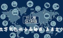 数字人民币与数字钱包的全面解析：未来支付的