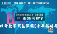 如何有效提升数字钱包限额？全面解析与实用技