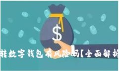 : 数字钱包转数字钱包有风险吗?全面解析与注意
