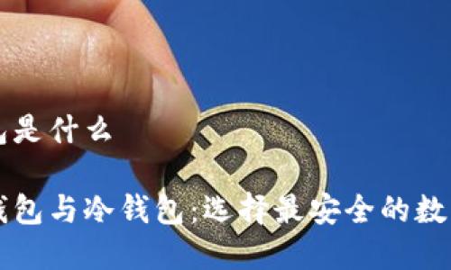 电子钱包冷钱包是什么
深入解析电子钱包与冷钱包:选择最安全的数字资产存储方式
