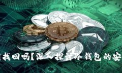 冷钱包可以通过私钥找回吗?深入探讨冷钱包的
