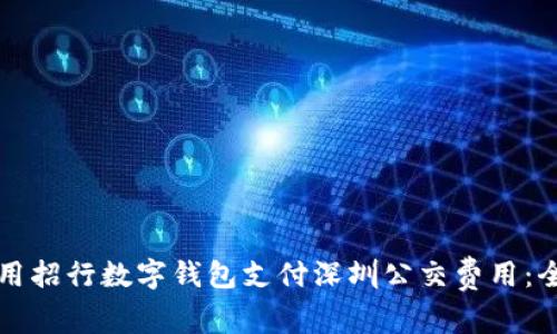 如何使用招行数字钱包支付深圳公交费用：全面指南