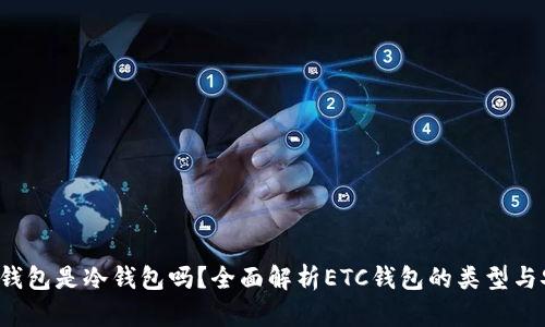 : ETC钱包是冷钱包吗?全面解析ETC钱包的类型与安全性
