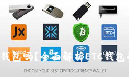 : ETC钱包是冷钱包吗?全面解析ETC钱包的类型与安全性
