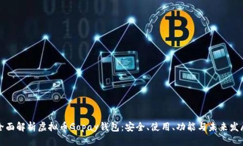 全面解析虚拟币Gopay钱包:安全、使用、功能与未来发展