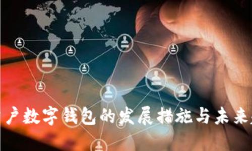 对公户数字钱包的发展措施与未来趋势