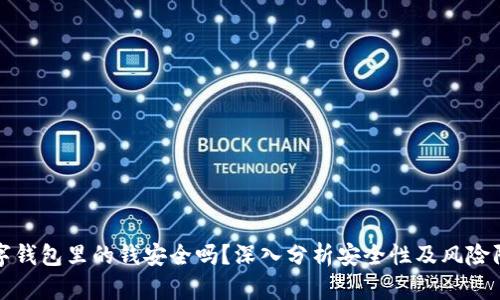 数字钱包里的钱安全吗?深入分析安全性及风险防范