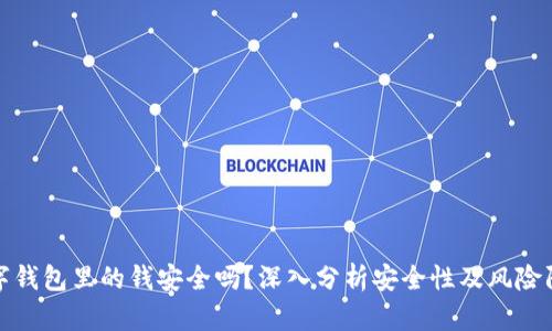 数字钱包里的钱安全吗?深入分析安全性及风险防范