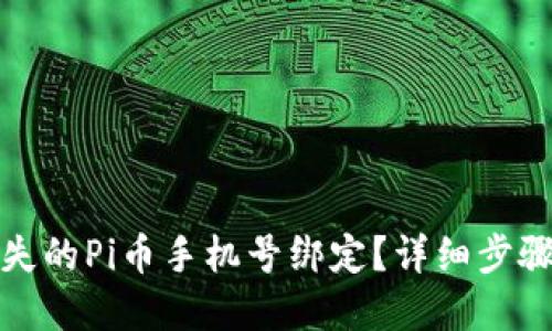 如何找回遗失的Pi币手机号绑定？详细步骤与解决方案
