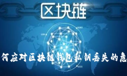 如何应对区块链钱包私钥丢失的危机?