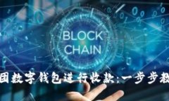 如何使用美团数字钱包进行收款：一步步教你轻