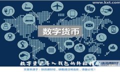 数字资产导入钱包的终极指南