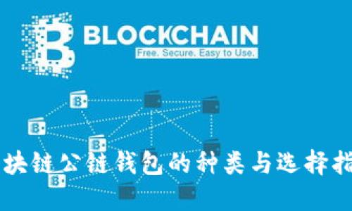 区块链公链钱包的种类与选择指南