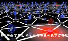 深入了解DSE数字钱包：让生活更便捷的数字支付