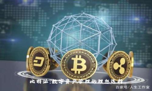 比特派:数字资产管理的理想选择