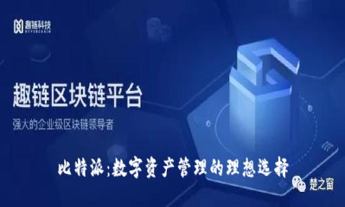 比特派:数字资产管理的理想选择