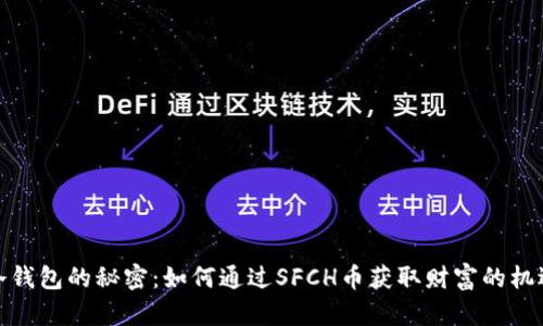 冷钱包的秘密：如何通过SFCH币获取财富的机遇