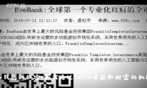 冷钱包的秘密：如何通过SFCH币获取财富的机遇
