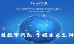 富强联盟数字钱包：掌握未来支付的关键