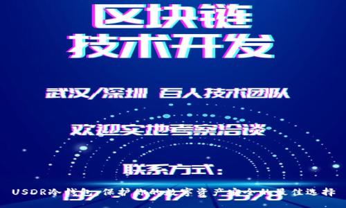 USDR冷钱包：保护你的数字资产安全的最佳选择