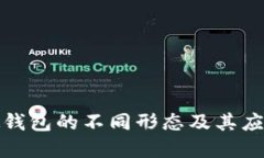 数字硬钱包的不同形态及其应用指南