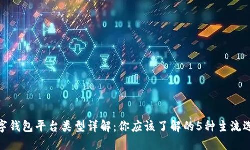 数字钱包平台类型详解:你应该了解的5种主流选择