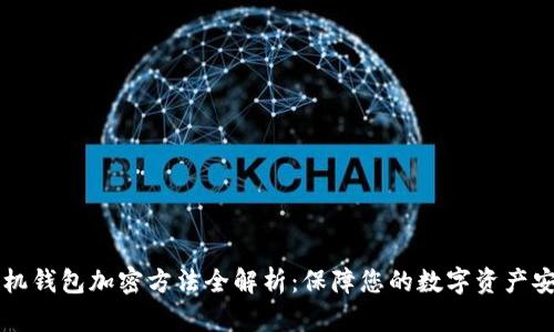 手机钱包加密方法全解析:保障您的数字资产安全