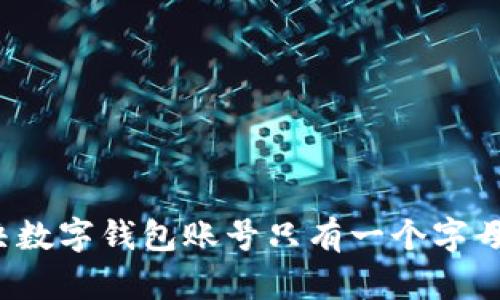 如何解决数字钱包账号只有一个字母的问题？