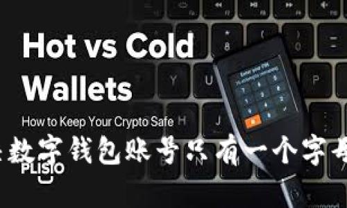 如何解决数字钱包账号只有一个字母的问题？