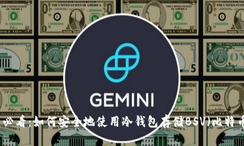 新手必看：如何安全地使用冷钱包存储BSV（比特币SV）