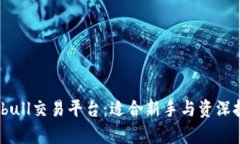 深入解析Bitbull交易平台：适合新手与资深投资者