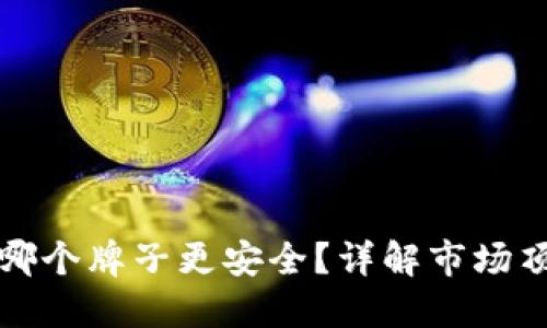 冷钱包哪个牌子更安全?详解市场顶尖品牌