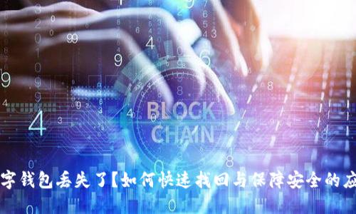 你的数字钱包丢失了?如何快速找回与保障安全的应对指南