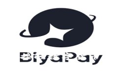 数字钱包开户是指用户在某个数字钱包平台上注