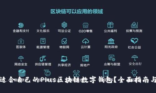 如何选择适合自己的Plus区块链数字钱包？全面指南与实用技巧
